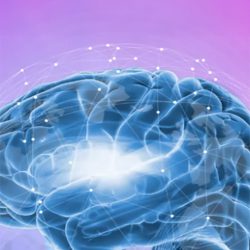 superpatch_brain
